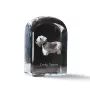 Terrier Tchèque, Cesky Terrier - un cube de cristal avec une photo, une photo de chien dans le cristal, un presse-papiers cubique de la marque Art-Dog