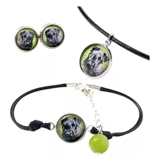 Cesky Terrier, Czech Terrier, Bohemian Terrier - a set of jewelry in a box, necklace, earrings, bracelet, products from the Art-Dog brand