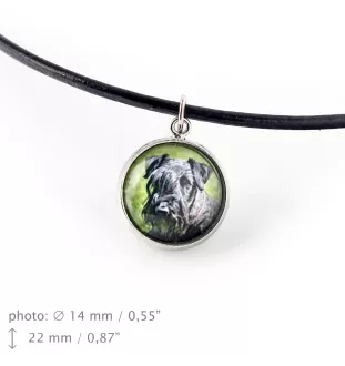 Terier czeski komplet w pudełku ze zdjęciem Art-Dog