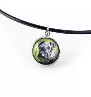 Terier czeski naszyjnik i bransoletka ze zdjęciem Art-Dog