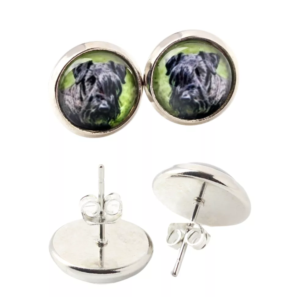 Cesky Terrier, Czech Terrier, Bohemian Terrier - earrings in a box, your photo, handmade jewelry, a product of the Art-Dog brand