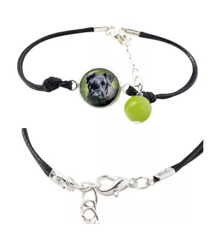 Cesky Terrier, Czech Terrier, Bohemian Terrier - bracelet in a box with your photo, feminine jewelry, perfect gift from Art-Dog brand