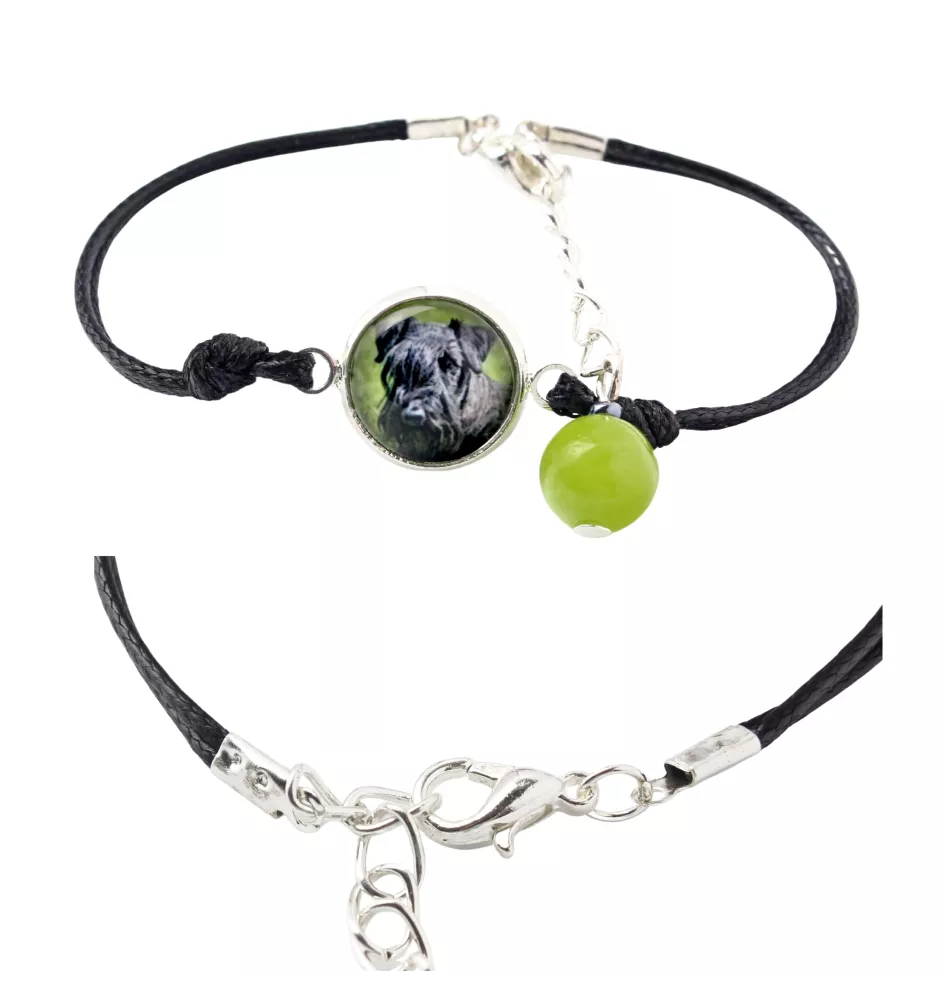 Cesky Terrier, Czech Terrier, Bohemian Terrier - bracelet in a box with your photo, feminine jewelry, perfect gift from Art-Dog brand