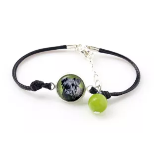 Terrier Tchèque, Cesky Terrier - bracelet dans une boîte avec votre photo, bijoux féminins, cadeau parfait de la marque Art-Dog