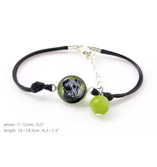 Terrier Tchèque, Cesky Terrier - bracelet dans une boîte avec votre photo, bijoux féminins, cadeau parfait de la marque Art-Dog