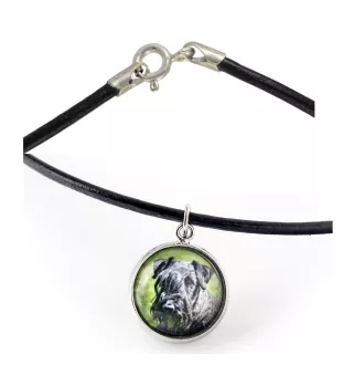 Terrier Tchèque, Cesky Terrier - collier dans une boîte, élégant bijou, pendentif de la marque Art-Dog