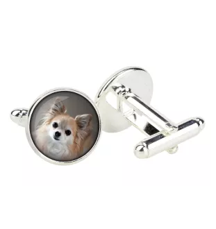 Chihuahua long-haired - cufflinks in a box, handmade jewelry, product of the Art-Dog brand