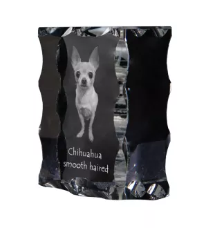 Chihuahua Langhaar - Kristall mit einem Hundebild, Glasstatuette mit einem Bild, einzigartiger Bilderrahmen der Marke Art-Dog
