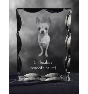 Chihuahua Langhaar - Kristall mit einem Hundebild, Glasstatuette mit einem Bild, einzigartiger Bilderrahmen der Marke Art-Dog