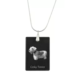 Terrier Tchèque, Cesky Terrier - Pendentif en cristal avec chien, collier en argent avec photo, pendentif personnalisé par la marque Art-Dog