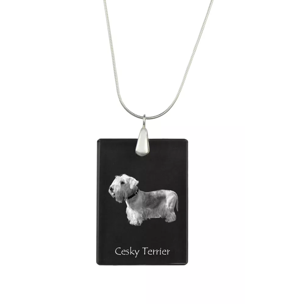 Cesky Terrier, Czech Terrier, Bohemian Terrier - Crystal pendant with dog, silver necklace with photo, personalised pendant by Art-Dog brand