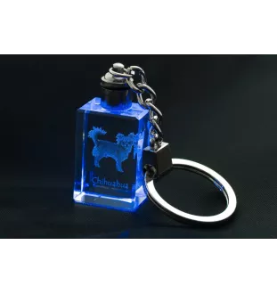 Chihuahua à poil long - Porte-clés en cristal avec photo de chien, porte-clés lumineux, cadeau unique de la marque Art-Dog