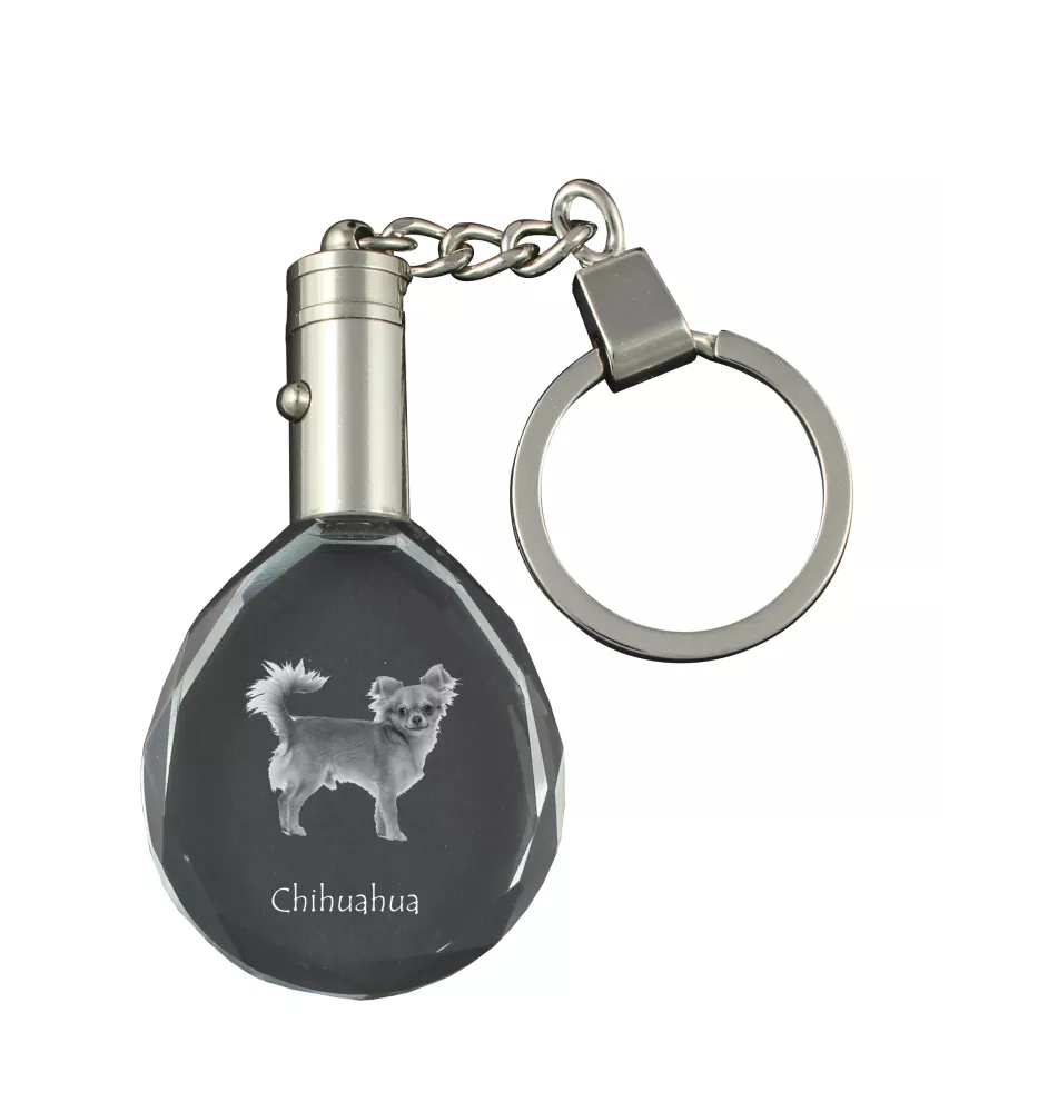 Chihuahua long-haired - pendant with a photo of a dog, crystal key ring in a gift box, a unique gift by Art-Dog