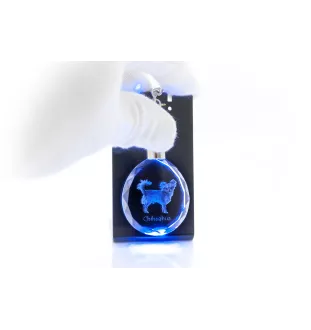 Chihuahua à poil long - pendentif avec une photo de chien, porte-clés en cristal dans une boîte cadeau, un cadeau unique par Art-Dog