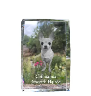 Chihuahua à poil long - cristal avec une photo de chien, photo sous verre, exposition moderne de la marque de photos Art-Dog