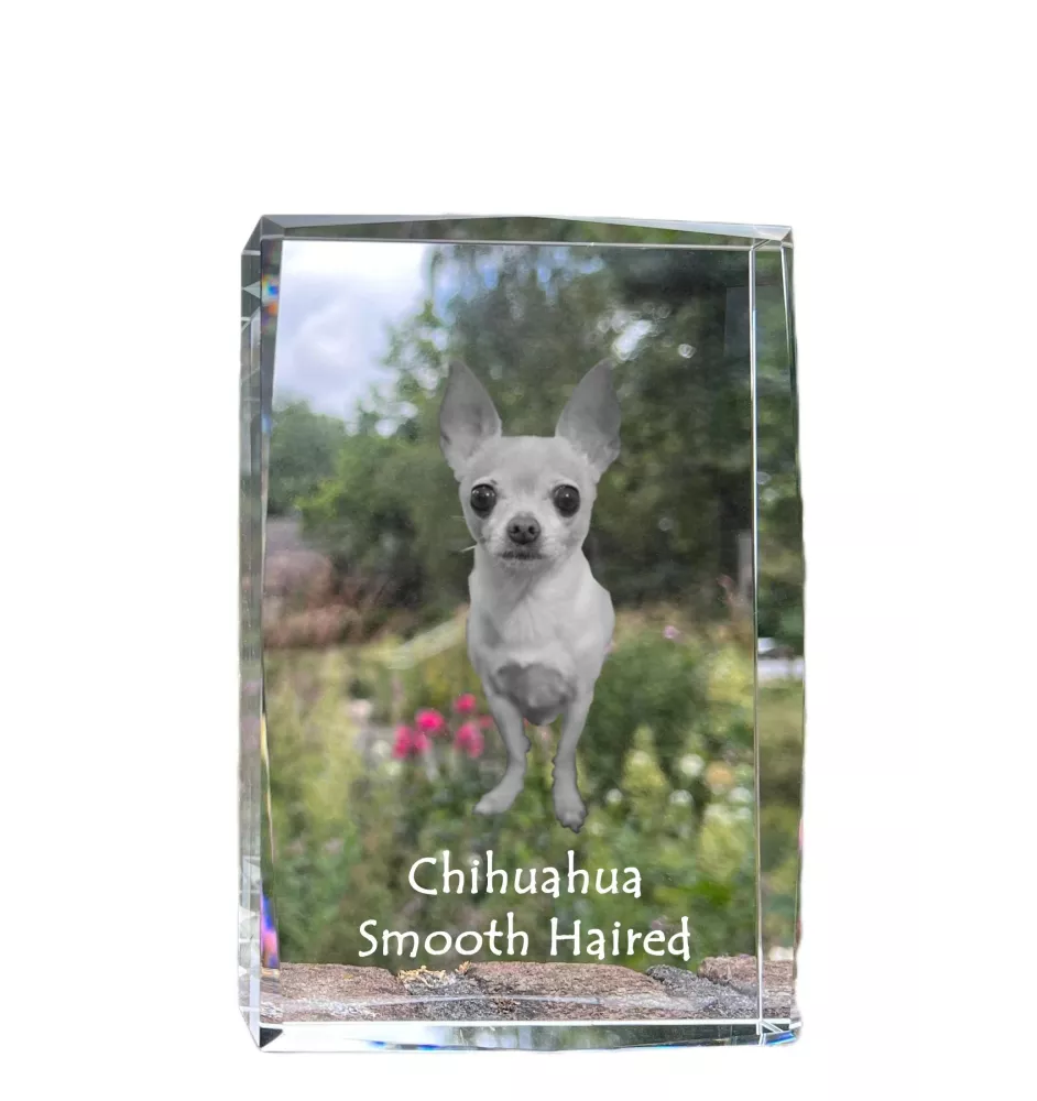Chihuahua Langhaar - Kristall mit einem Hundebild, Bild im Glas, moderne Ausstellung des Art-Dog-Bildes.