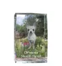Chihuahua à poil long - cristal avec une photo de chien, photo sous verre, exposition moderne de la marque de photos Art-Dog