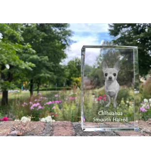 Chihuahua Langhaar - Kristall mit einem Hundebild, Bild im Glas, moderne Ausstellung des Art-Dog-Bildes.