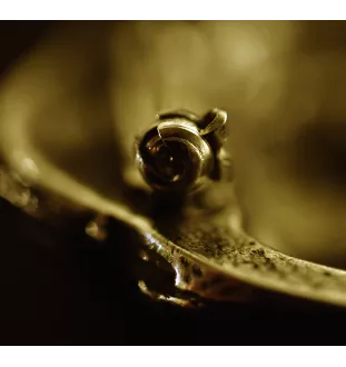 Chihuahua à poil long I - broche avec pince, support doré pour numéro de départ, élégante épingle pour exposition de chiens de la marque Art-Dog