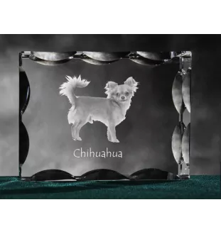 Chihuahua à poil court - cristal avec photo de chien, statuette en verre avec photo, cadre exceptionnel avec photo de la marque Art-Dog