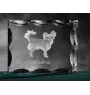 Chihuahua à poil court - cristal avec photo de chien, statuette en verre avec photo, cadre exceptionnel avec photo de la marque Art-Dog