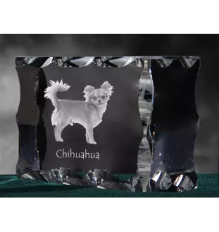 Chihuahua Kurzhaar - Kristall mit einem Hundebild, Glasstatuette mit einem Bild, einzigartiger Bilderrahmen der Marke Art-Dog