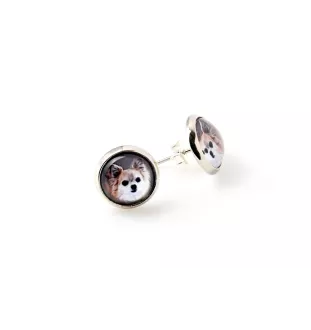 Chihuahua à poil long - ensemble de bijoux avec votre photo, accessoire féminin, article fait main, produit fabriqué à la main avec passion pour la création de la marque Art-Dog