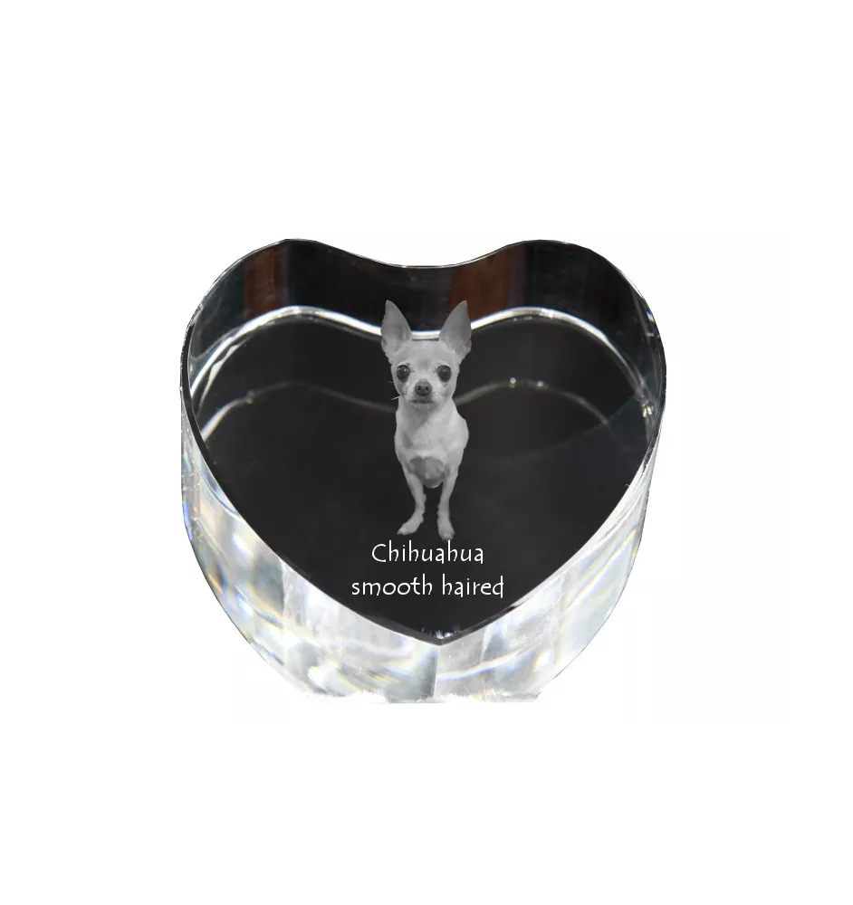 Chihuahua long-haired - a photo of a dog in crystal, crystal heart, unique photo frame from the Art-Dog brand