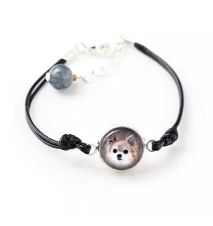 Chihuahua à poil long - ensemble de bijoux dans une boîte, collier, boucles d'oreilles, bracelet, produits de la marque Art-Dog
