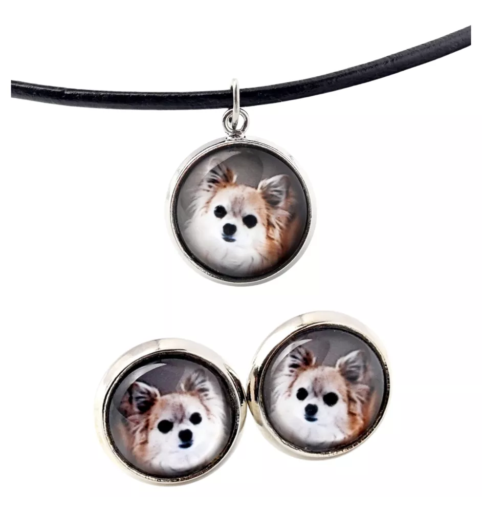 Chihuahua long-haired - jewelry with your photo box, set of necklace and earrings, personalized products from the Art-Dog brand