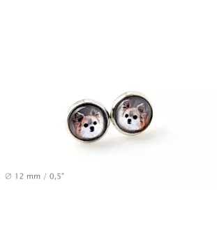 Chihuahua long-haired - jewelry with your photo box, set of necklace and earrings, personalized products from the Art-Dog brand