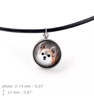 Chihuahua long-haired - jewelry with your photo box, set of necklace and earrings, personalized products from the Art-Dog brand
