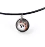 Chihuahua Langhaar - Schmuck mit Ihrem Foto-Box, Halskette und Ohrringe-Set, personalisierte Produkte der Marke Art-Dog.