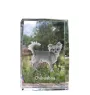 Chihuahua short-haired, Chihuahua smooth - crystal with a picture of a dog, photo in glass, modern exhibition of Art-Dog brand photo
