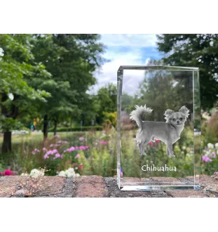 Chihuahua short-haired, Chihuahua smooth - crystal with a picture of a dog, photo in glass, modern exhibition of Art-Dog brand photo
