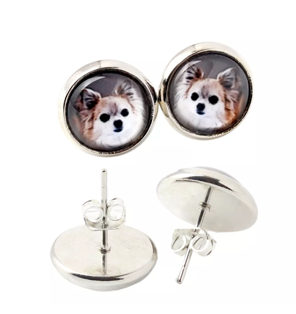 Chihuahua long-haired - earrings in a box, your photo, handmade jewelry, a product of the Art-Dog brand