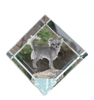 Chihuahua short-haired, Chihuahua smooth - crystal cube with a photo, photo of a horse in crystal, cubic paperweight from Art-Dog brand