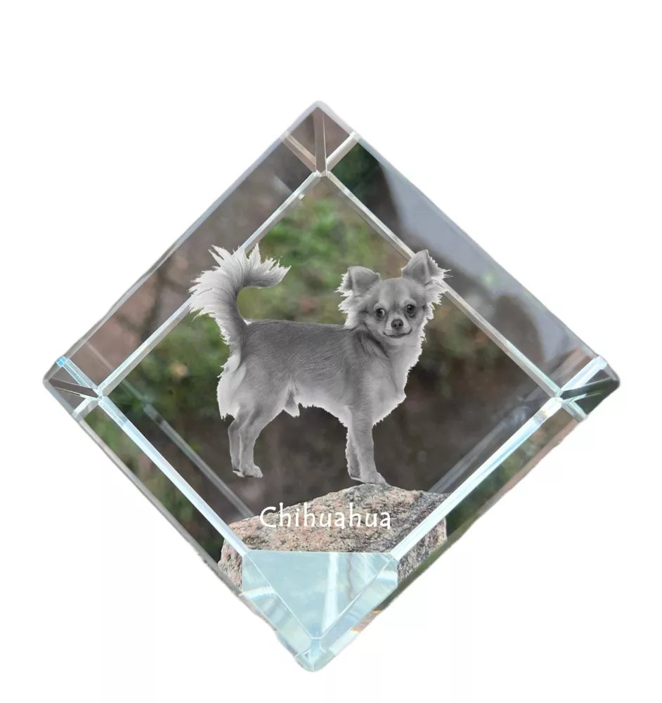Chihuahua à poil court - un cube de cristal avec une photo, une photo de cheval dans le cristal, un presse-papiers cubique de la marque Art-Dog