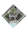 Chihuahua short-haired, Chihuahua smooth - crystal cube with a photo, photo of a horse in crystal, cubic paperweight from Art-Dog brand