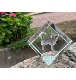 Chihuahua à poil court - un cube de cristal avec une photo, une photo de cheval dans le cristal, un presse-papiers cubique de la marque Art-Dog