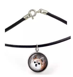 Chihuahua długowłosy naszyjnik w pudełku ze zdjęciem Art-Dog