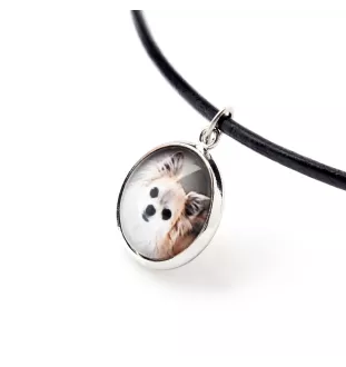 Chihuahua à poil long - collier dans une boîte, élégant bijou, pendentif de la marque Art-Dog