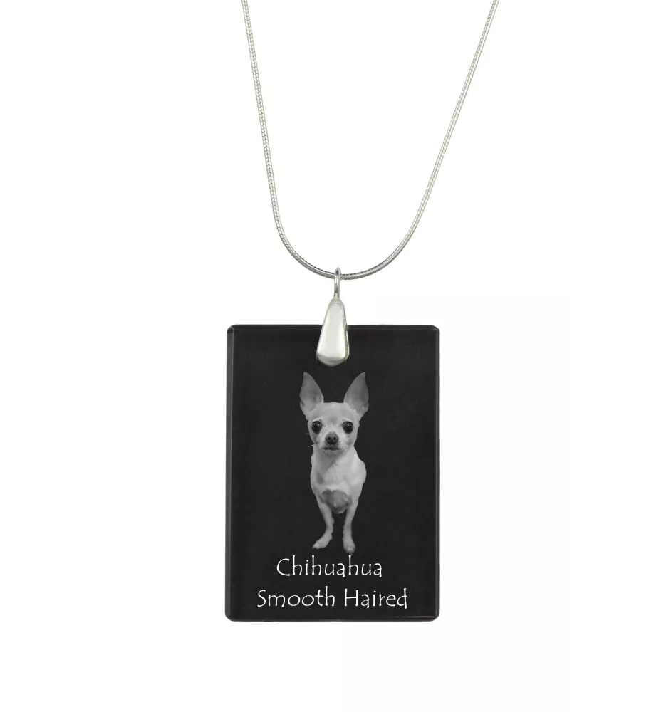Chihuahua Langhaar - Kristallanhänger mit Hund, Silberhalskette mit Foto, personalisierter Anhänger der Marke Art-Dog