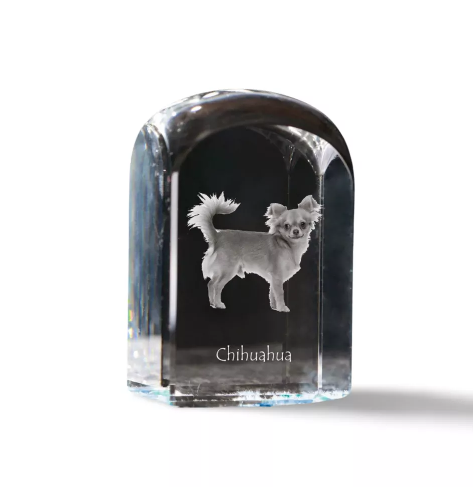 Chihuahua Kurzhaar - Kristallwürfel mit Bild, Hundebild im Kristall, sechseckiger Papierclip von Art-Dog.