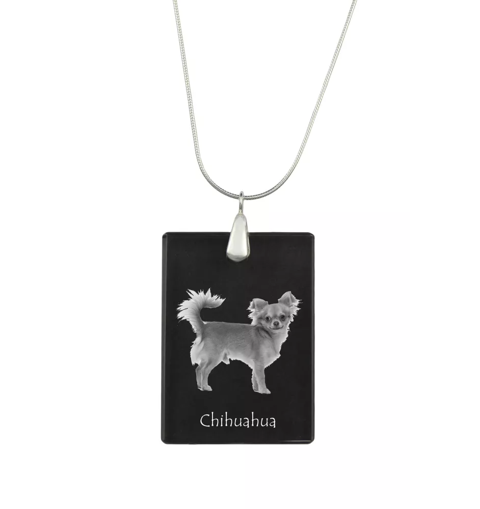 Chihuahua à poil court - Pendentif en cristal avec chien, collier en argent avec photo, pendentif personnalisé par la marque Art-Dog
