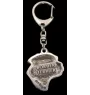Border Terrier - Silver-plated key ring with dog, handbag decoration, backpack pendant by Art-Dog brand