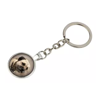 Border Terrier - keychain in a box, own photo, keychain pendant from Art-Dog brand