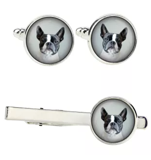 Boston Terrier zestaw spinek w pudełku ze zdjęciem Art-Dog
