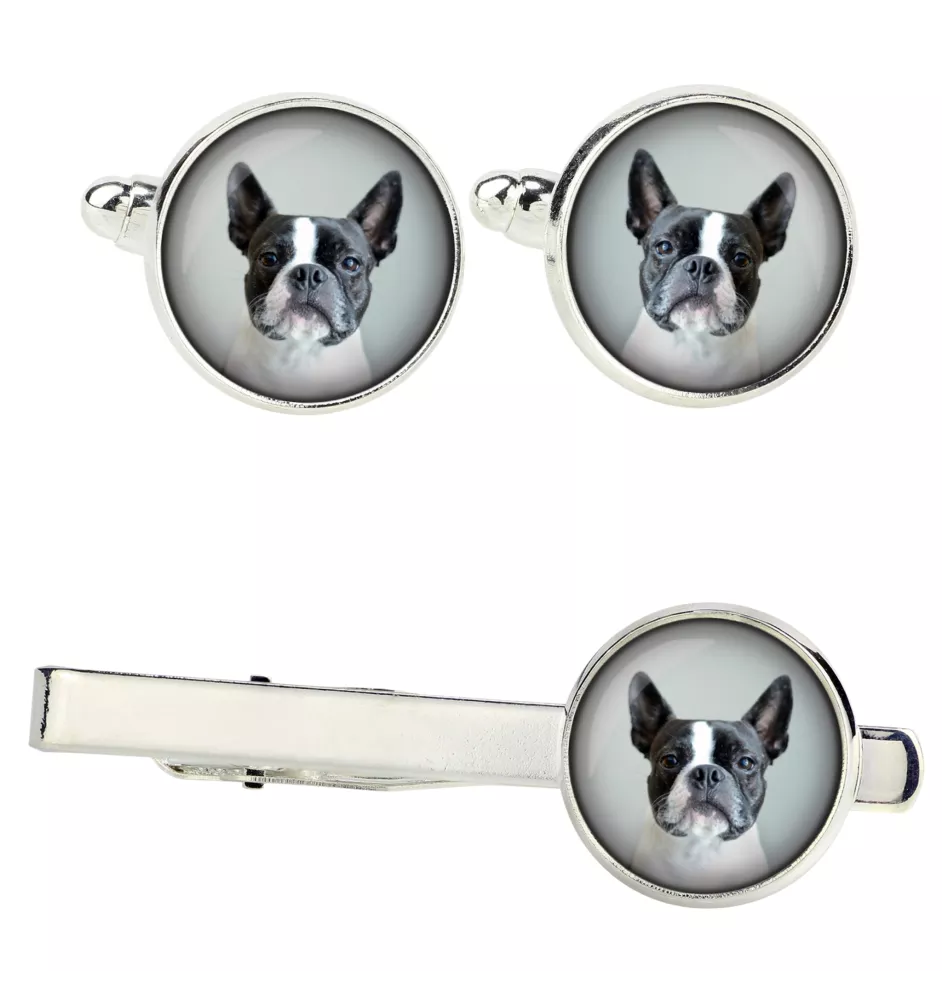 Boston Terrier zestaw spinek w pudełku ze zdjęciem Art-Dog