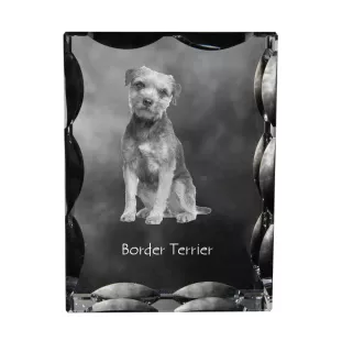 Border Terrier ramka kryształowa z psem Art-Dog